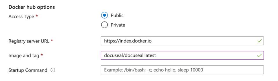 Azure Web App container options