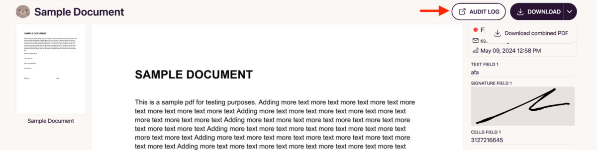Document Preview